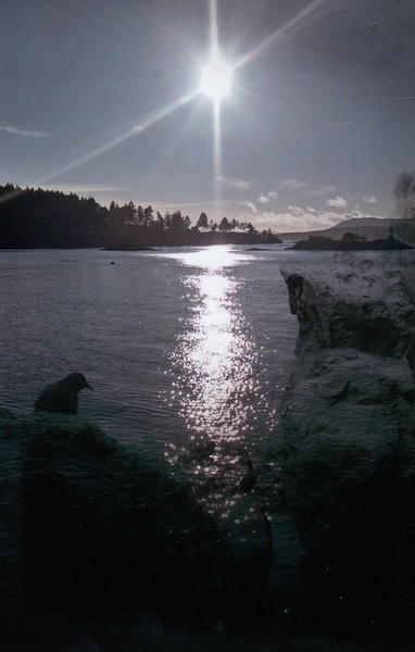 07.50. Joanna Rogers. Lost Souls. The Prodigal Crow.