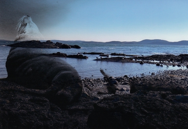 08.50. Joanna Rogers. Lost Souls. The Return to Paradise.