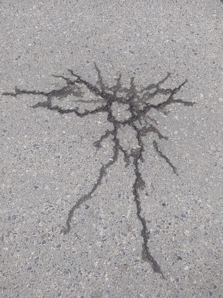 shadow puppet rain on road