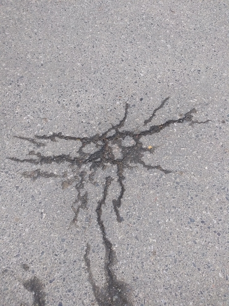 shadow puppet rain on road