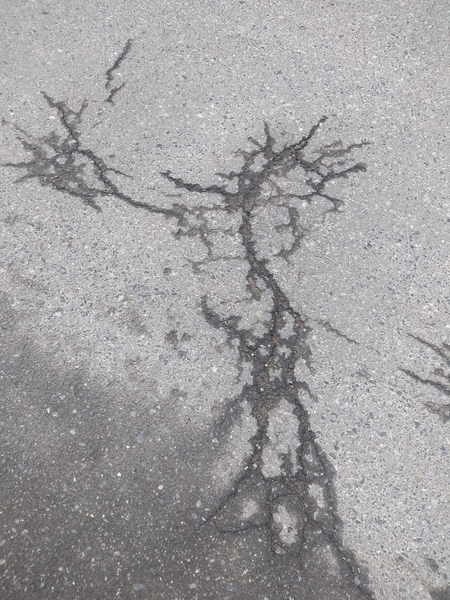 shadow puppet rain