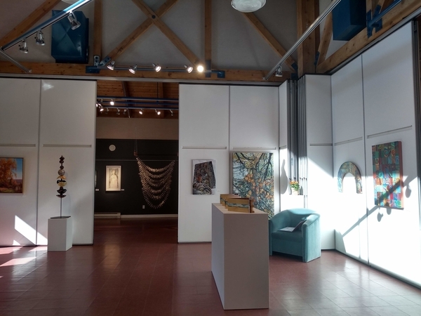salt spring national art prize parallel show