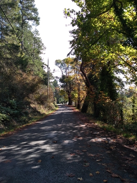 MacKinnon Road Pender Island