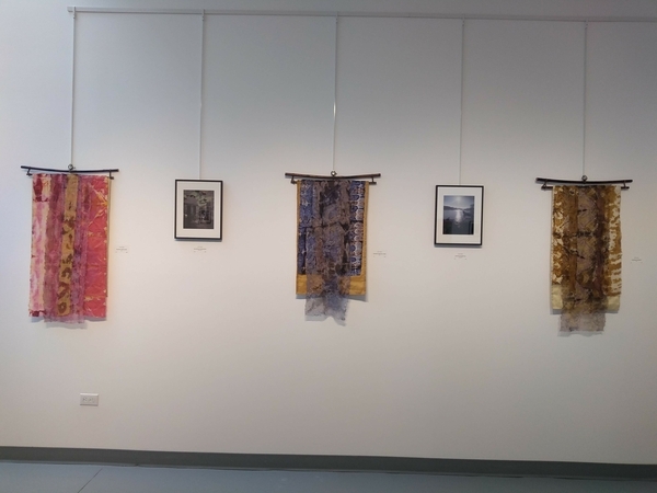 Arteology installed at the Terrace Art Gallery. April 2021.